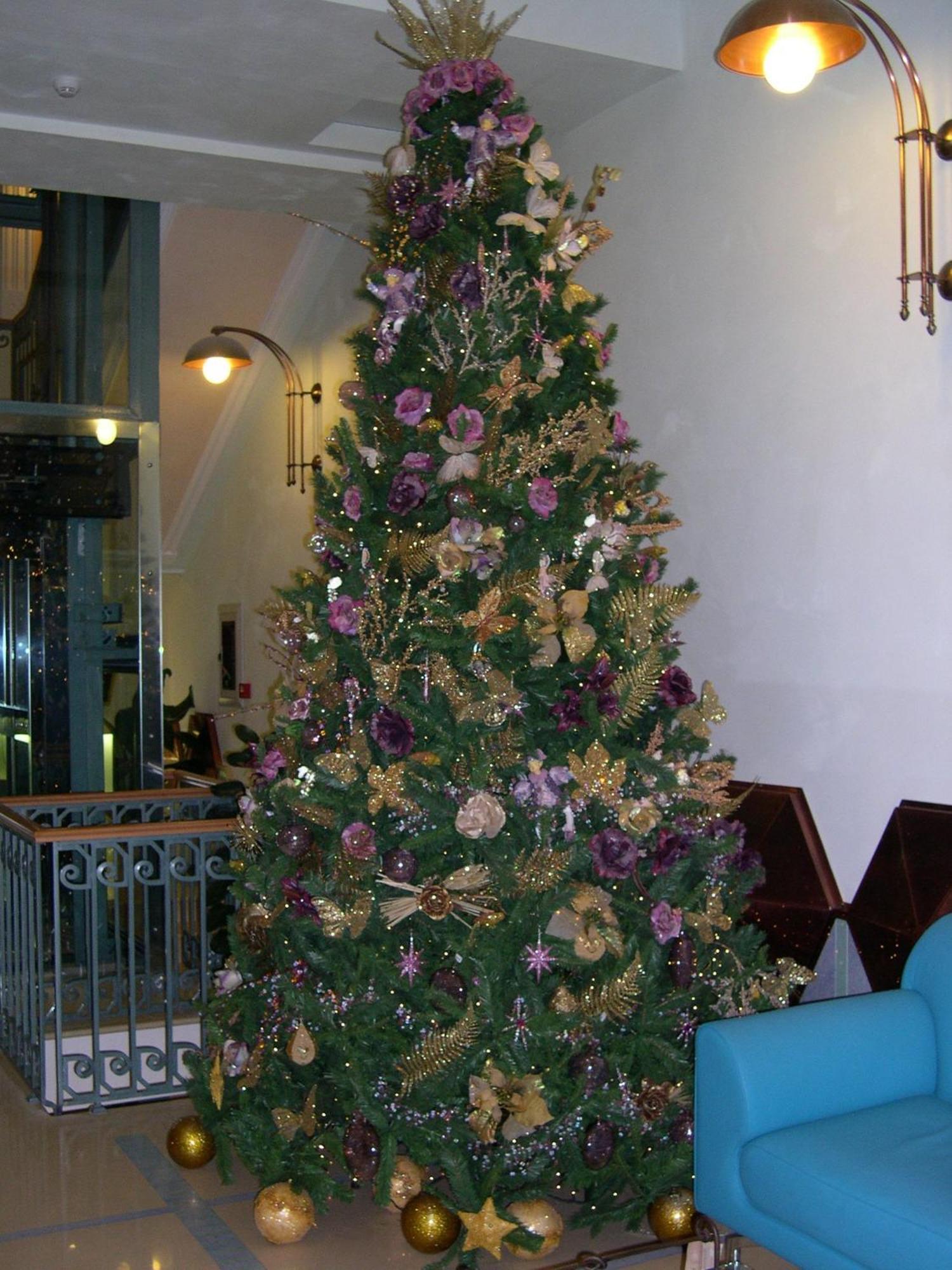 Eden Naples